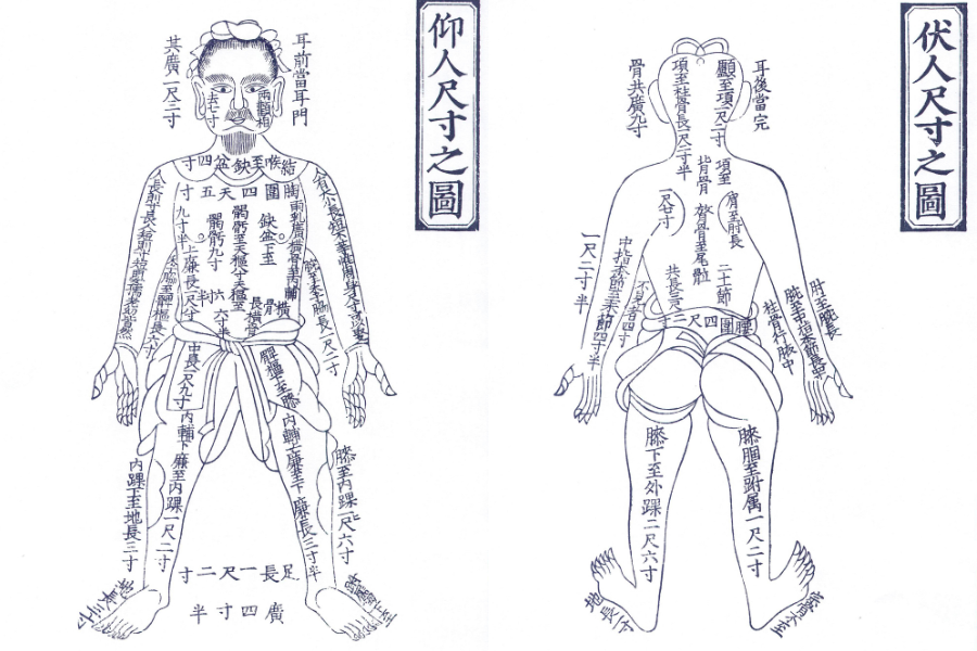 D'où viennent les points du shiatsu ? - ©日本経絡経穴研究会